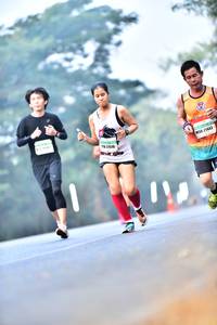 BIB: 213, 27516
                            <button type="button" onclick="openModal(10120047)" class="btn btn-primary btn-sm float-right btn-popup" data-toggle="modal" data-target=".modal-high-quality">
                        <i class="fas fa-shopping-cart"></i> Add to Cart
                    </button>
                                            <button type="button" onclick="isThisMe(10120047, true)" class="btn btn-success btn-sm float-right btn-popup btn-isme hidden" data-toggle="tooltip" data-placement="bottom" title="นี่คือรูปของคุณใช่ไหม คลิกที่นี่เพื่อเอาเข้าอัลบั้ม">
                        <i class="fas fa-plus"></i> Add to album
                    </button>
                    <button type="button" onclick="isThisMe(10120047, false)" class="btn btn-warning btn-sm float-right btn-popup btn-isnotme hidden">
                        <i class="fas fa-ban"></i> Remove from album
                    </button>